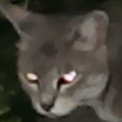 Cybill35Moyom's profile picture. 