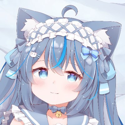 Chippi2000 💙🐈さんのプロフィール画像