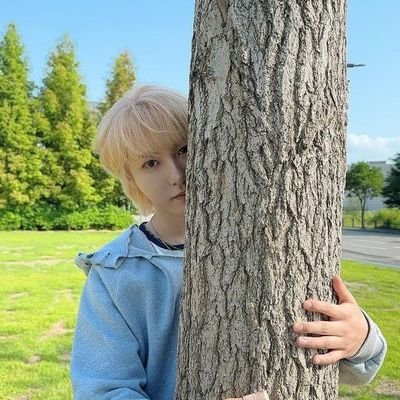 fall in love with #JAEMIN #HYUCKREN #BAEKSEUNG #AYDEN - i love all #NCT #WAYV, reading AU's && Wattpad dominant #HYUCKREN things, this acc lovee 7dream so much