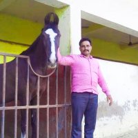 MAHESH REPESWAL (@mrepeswal) 's Twitter Profile