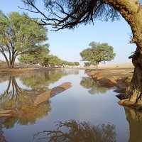 خالد السلوم (@khalido_12) 's Twitter Profile Photo