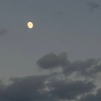 pd_ny3's profile picture. インテリア、洋服🫧🤍