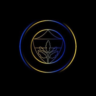 analizMKD's profile picture. 