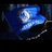 Profile picture of Chelsea Ghost