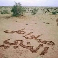 إبراهيم (@brhym387007) 's Twitter Profile