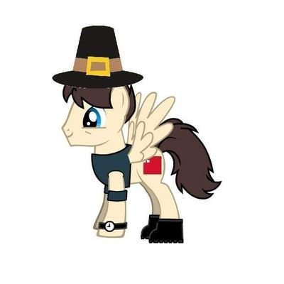 I am a pony minutemen