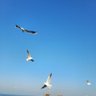 dstny03's profile picture. Khanabadosh/ Explorer/Avid Traveller/Amateure Photographer/Foodie.