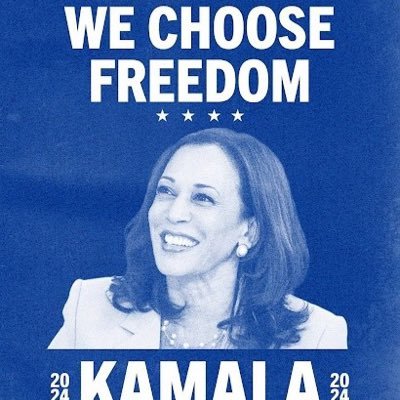 Formerly @gschoos until it got blow up by??? Maybe something I said. #blue #resistance #freedom. Need help rebuilding I FB