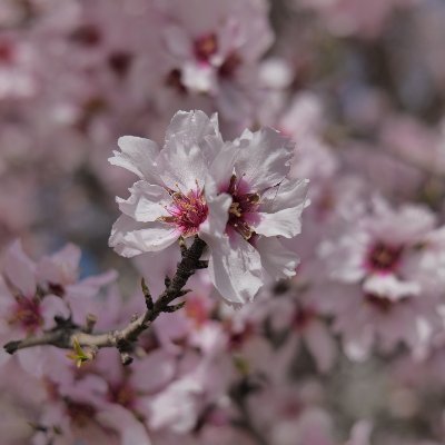 AutoguerreroL's profile picture. hola