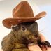 Peanut (Not/Sure)🥓 (@funtruthaddict) Twitter profile photo Peanut (Not/Sure)🥓 (@funtruthaddict) Twitter profile photo