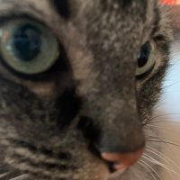 thEo . (@thicctheo) 's Twitter Profile Photo thEo . (@thicctheo) 's Twitter Profile Photo