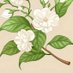Demo狄茉 (@mundoeveritas) Twitter profile photo Demo狄茉 (@mundoeveritas) Twitter profile photo
