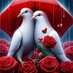 Khaled Sallam (@khaleds56177314) Twitter profile photo Khaled Sallam (@khaleds56177314) Twitter profile photo