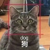 夏色さんのプロフィール画像