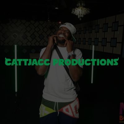 Producer, Tour Agent, Event Planner, Artist Management, Sound Engineer and whatever else you need to get on in the music industry