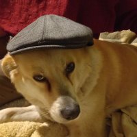 Małgosia (@ma_drza) 's Twitter Profile