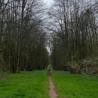 Www.Peter (@peter_dotcom) 's Twitter Profile