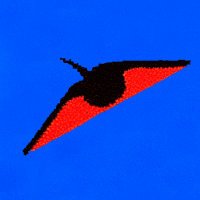 gozo (@uncertaingaze) 's Twitter Profile Photo gozo (@uncertaingaze) 's Twitter Profile Photo