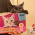 Charlie’s tail’s 🐈⬛🐾🐾🐾🐈⬛ (@hayley750) Twitter profile photo Charlie’s tail’s 🐈⬛🐾🐾🐾🐈⬛ (@hayley750) Twitter profile photo