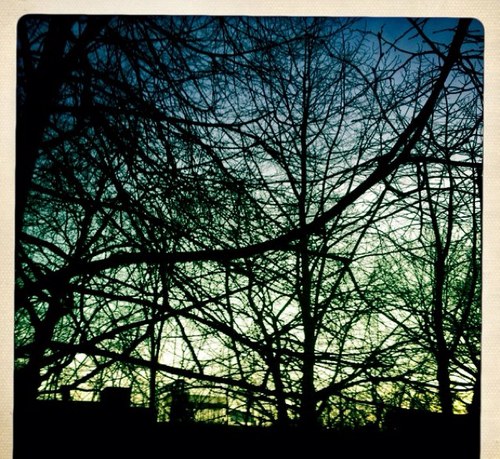 roxannemahoney's profile picture. 