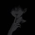 Dark (@idccccccj) Twitter profile photo Dark (@idccccccj) Twitter profile photo