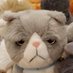 BoydHaag (@reorio_par) Twitter profile photo BoydHaag (@reorio_par) Twitter profile photo