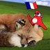 vlacbo (@inqfuchs) Twitter profile photo vlacbo (@inqfuchs) Twitter profile photo
