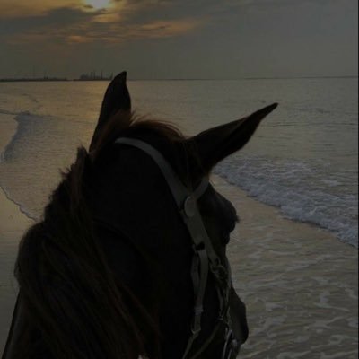 nis_102's profile picture. -Medical Secretary