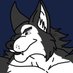 leewolfx (@leewolfx20) Twitter profile photo leewolfx (@leewolfx20) Twitter profile photo