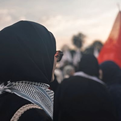 snowy_secret15's profile picture. AGD Adana Üniversite Komisyon Başkanı ✨