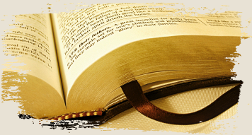 BibleQuestions's profile picture. Ask me any questions you have about the Bible and I'll answer it for you!