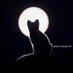 linko by (@lyoijjjhhj) Twitter profile photo linko by (@lyoijjjhhj) Twitter profile photo