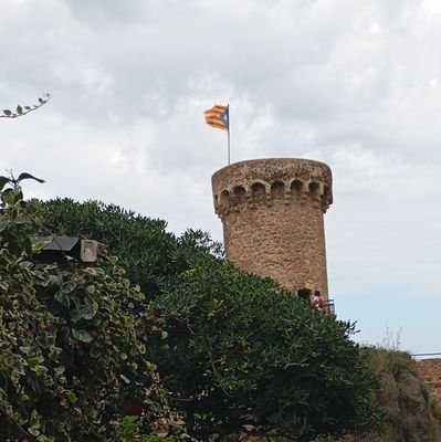 atomicdogu's profile picture. 