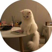 إيِـمـآن طَـآرِقٓ (@amona_tareq) 's Twitter Profile
