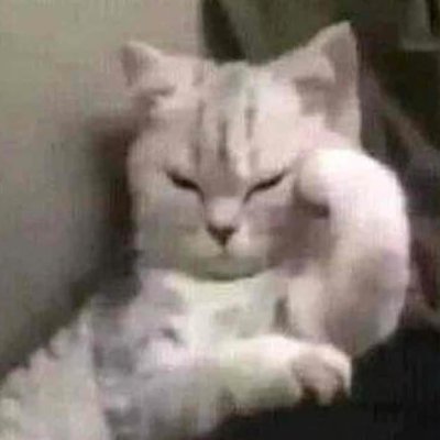 zqaby1's profile picture. studying progcrypto, buzzword enjoyor, intern @InternDAO