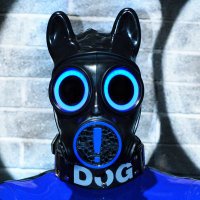 Dog Stricken (@dogstricken) 's Twitter Profile Photo Dog Stricken (@dogstricken) 's Twitter Profile Photo