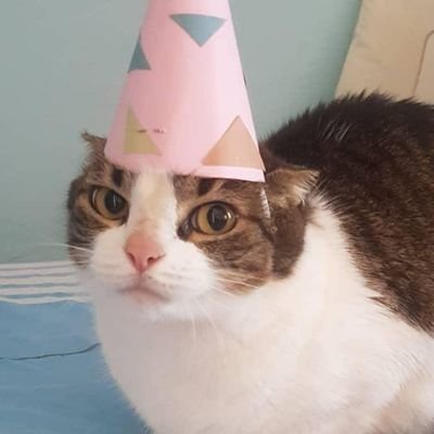 uma gata com 25 advogados, uma língua afiada, nenhum pescoço e problemas com pontuação . perfil de humor (às vezes)