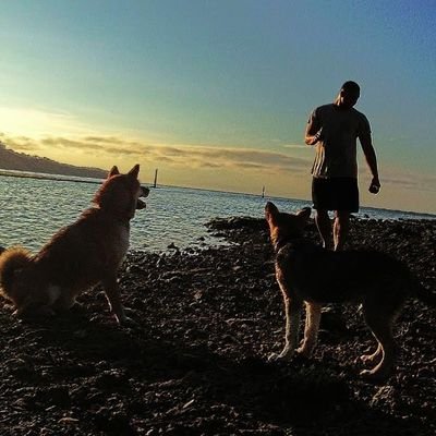 FiascoJedi's profile picture. Looking for clues