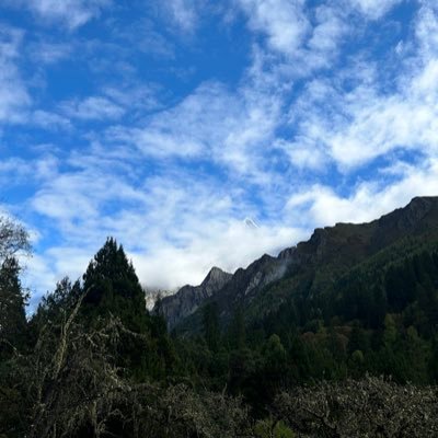 q9QLKNZllabDCww's profile picture. I like you！！