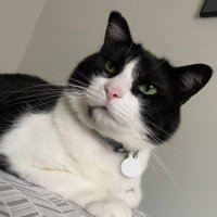 Mia Skyler (@mianotmaya) 's Twitter Profile