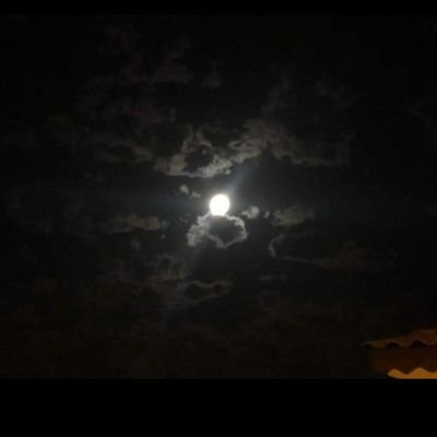 EdgarCh93472185's profile picture. MD para aceptar