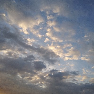 BryanAmaya39592's profile picture. 