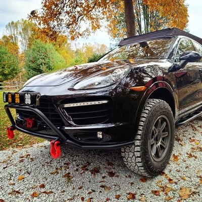 Rural_Squirrel's profile picture. 