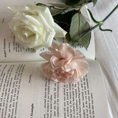 1809pages_'s profile picture. 