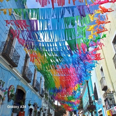 MarthaRayo56814's profile picture. 