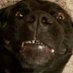 SlobsSnobsAndHobNobs (@slobsandhobnobs) Twitter profile photo SlobsSnobsAndHobNobs (@slobsandhobnobs) Twitter profile photo