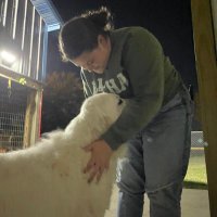 Emily (@_emily_anne__) 's Twitter Profile