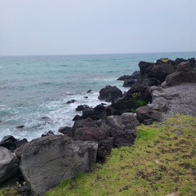 Sooyo_Mer's profile picture. 상냥해지려고 노력하다 종종 실패하는 강퍅한 사람의 시시콜콜 아무말