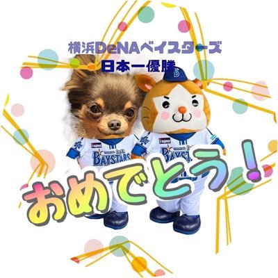 実家の愛犬(オスのロングコートチワワ。通称こじたん。先代犬も)や猫・ビーバー・ウォンバットにデレデレしている社会人女のアカウント🐶 写真のお披露目多め📷 気が向くと絵を描いたり何か作ったりします🎨野球好き⚾️DeNA・日ハム・オリ❤️無言フォロー大歓迎&無言フォロー失礼します🙇♀️※写真の無断使用禁止