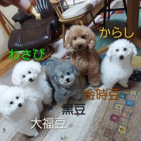 つくねとねぎま (@tukunetonekima) 's Twitter Profile Photo つくねとねぎま (@tukunetonekima) 's Twitter Profile Photo
